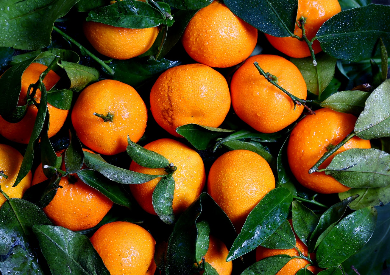fruit oranges new